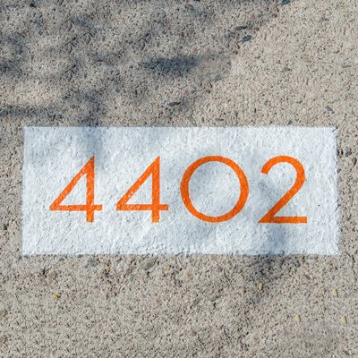 Curb Number Painting Kit